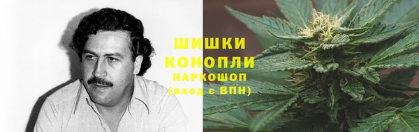 стафф Кодинск