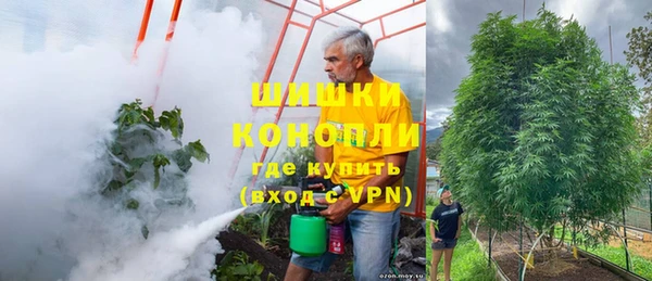 стафф Кодинск