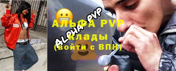 стафф Кодинск