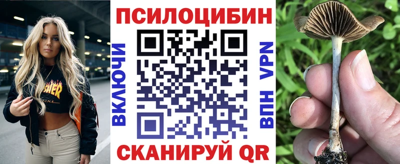 Псилоцибиновые грибы Psilocybine cubensis Купить где Дзержинский
